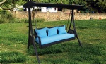 adult swing