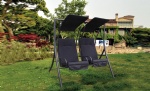 adult swing